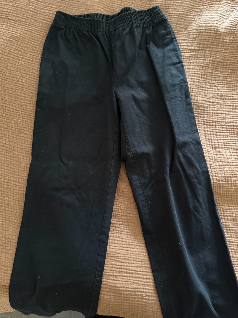 Aritzia Cotton Twill Pants